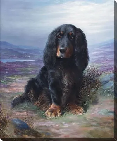 Картина Кокер-спаниэль ( Cocker Spaniel)