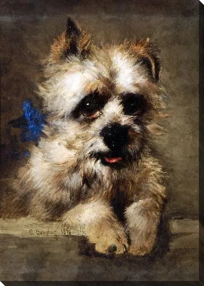 Картина  (Terrier)