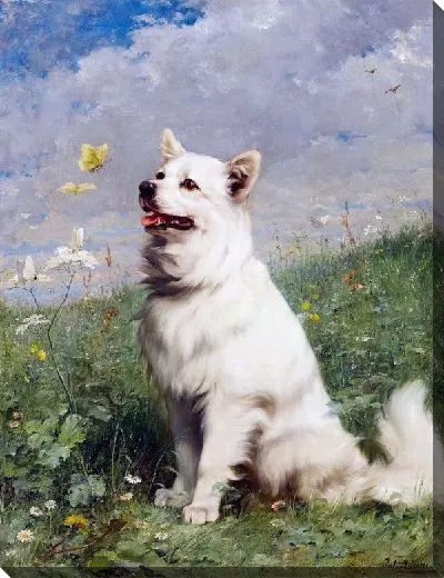 Картина Интрига (Intrigue)