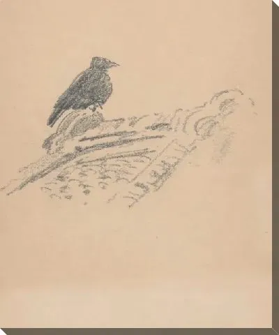 Картина птица