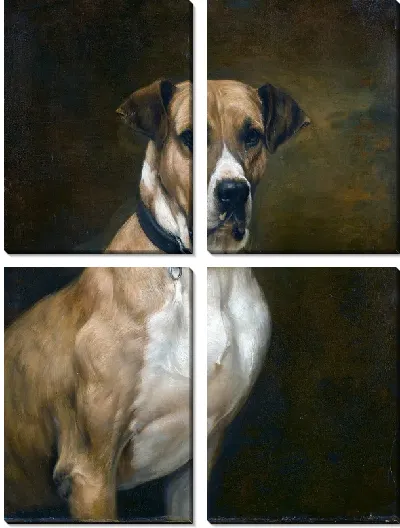 Модульная картина Пес (Dog)