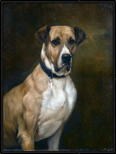Картина Пес (Dog)