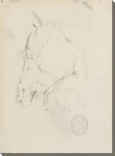 Картина лошадь №17