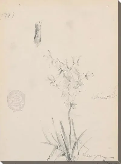 Картина Цветущее растение