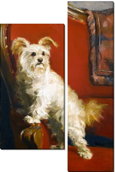 Картина Той терьер на красном кресле (Toy Terrier on a red chair)