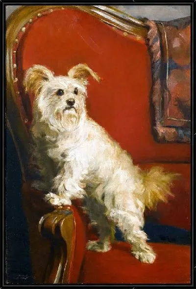 Картина Той терьер на красном кресле (Toy Terrier on a red chair)
