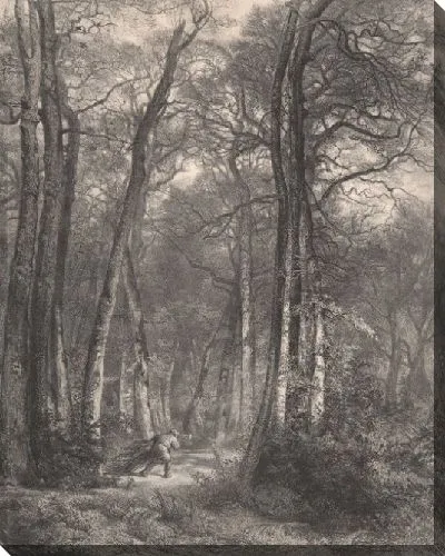 Картина В лесу или в высоком лесу (En Forêt ou Haute Futaie)