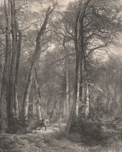Картина В лесу или в высоком лесу (En Forêt ou Haute Futaie)
