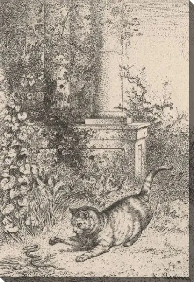 Картина Домашняя кошка играет с подвязкой