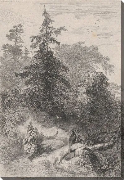 Картина Два фазана в лесу