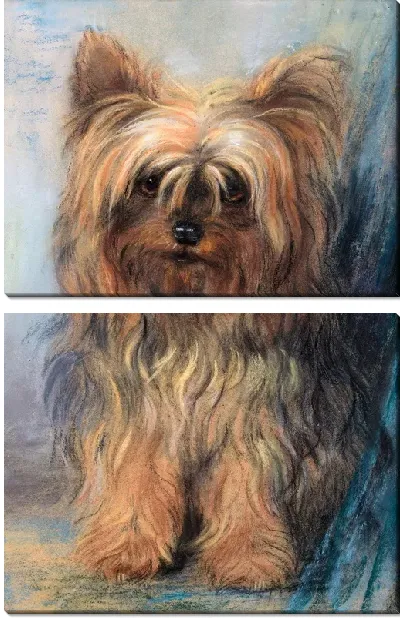 Картина Йоркширский терьер (A Yorkshire Terrier)