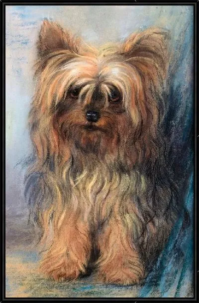Картина Йоркширский терьер (A Yorkshire Terrier)