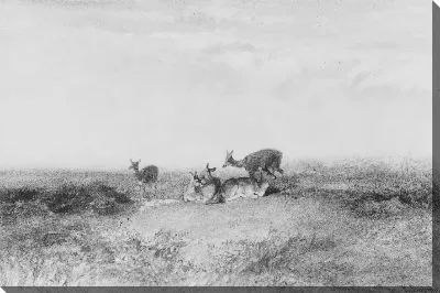 Картина Олень в пейзаже