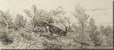 Картина Олень в лесу