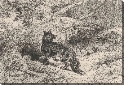 Картина Лиса