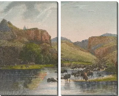 Стада бизонов и лосей в верховьях Миссури.