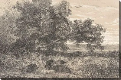 Кабаны в пруду