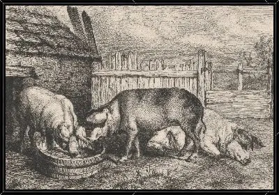 Три свиньи возле забора