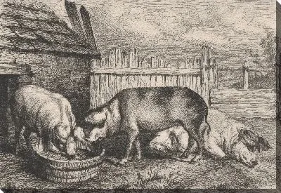 Три свиньи возле забора