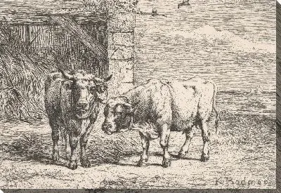 Картина Быки