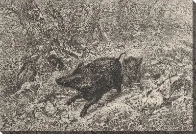 Дикий кабан