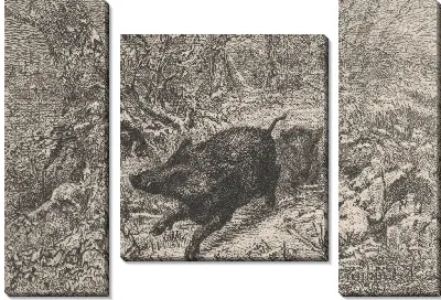 Дикий кабан