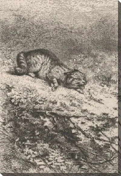 Картина Дикий кот