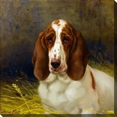 Картина маслом Пес (Dog) №2