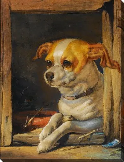 Картина Пес (Dog) №4