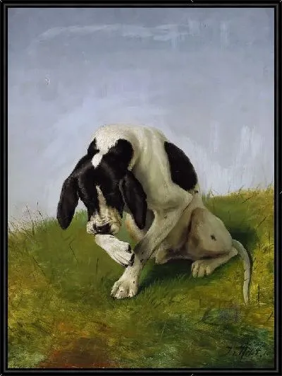 Картина Пес (Dog) №5