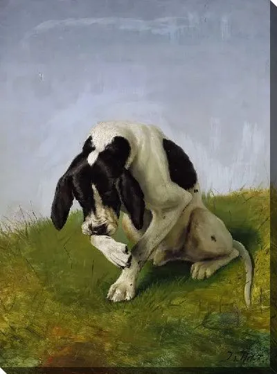 Картина Пес (Dog) №5