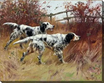 Собаки на охоте (Dogs on the hunt)