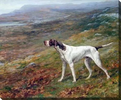 Постер Пес (Dog) №7
