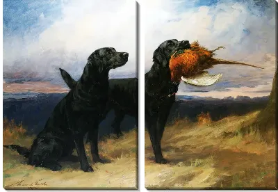 Модульная картина Черный лабрадор (Black Labrador)