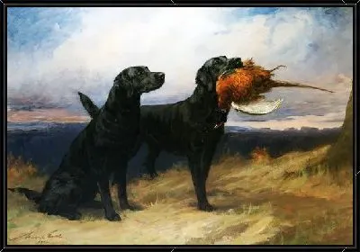 Картина Черный лабрадор (Black Labrador)