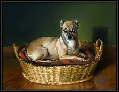 Картина Собака в корзинке (Dog in basket)