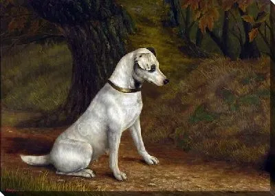 Картина маслом Ожидание (Waiting)