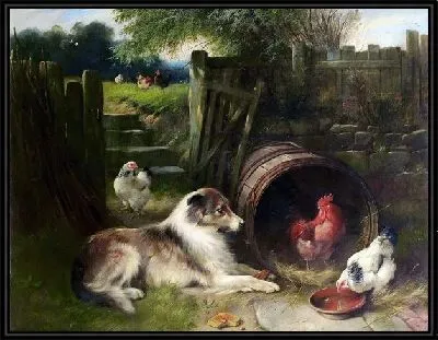 Собака и куры (Dog and Chicken)
