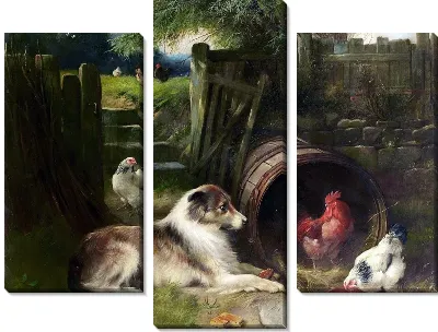 Собака и куры (Dog and Chicken)