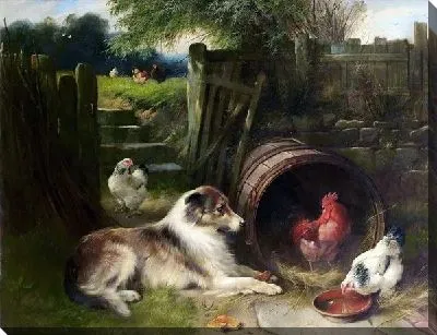 Собака и куры (Dog and Chicken)