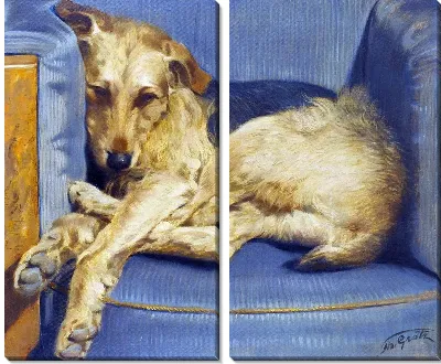 Модульная картина Пес (Dog) №8
