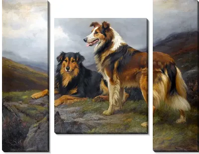 Две собаки (Two dogs)