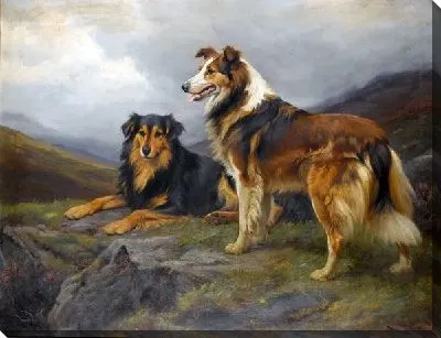 Две собаки (Two dogs)