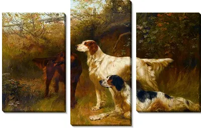 Модульная картина Собаки (Dog)