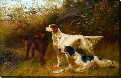 Картина маслом Собаки (Dog)