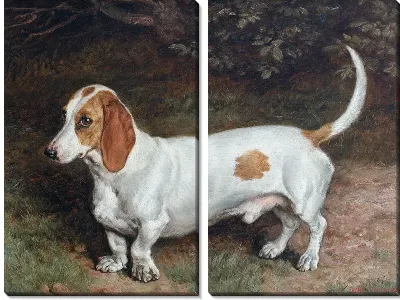 Модульная картина Собака (Dog) №4