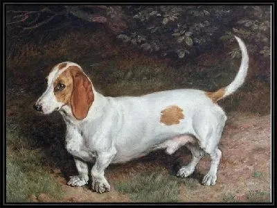 Картина Собака (Dog) №4