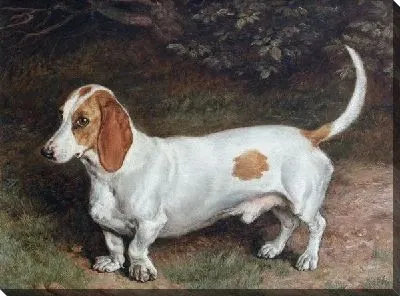 Постер Собака (Dog) №4