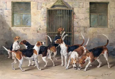 шаблон id 38