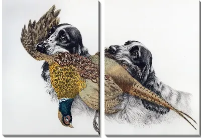 Картина Собаки и охотничьи трофеи (Dogs and hunting trophies)